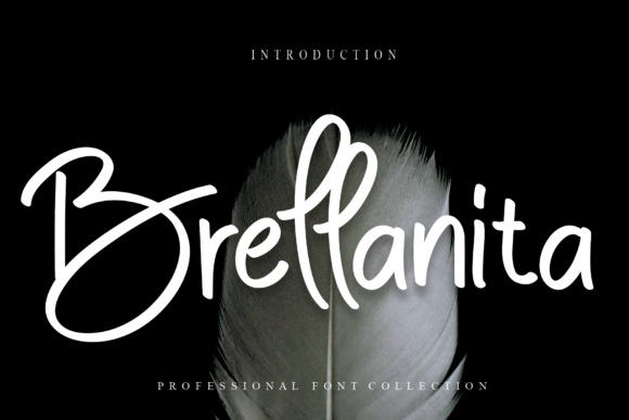 Brellanita: The Handwritten Font That Elevates Campaigns