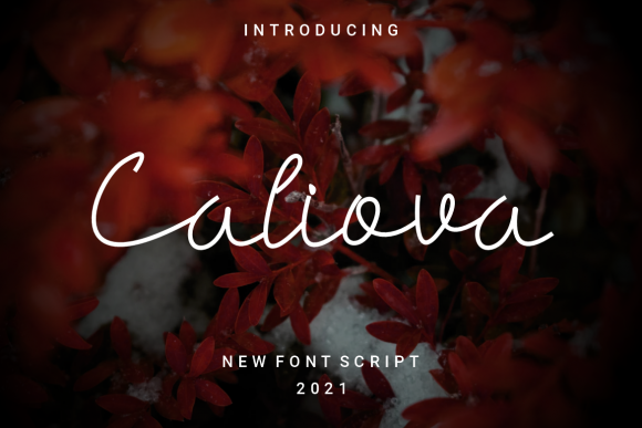 Caliova: A Delicate Script Font for Handmade Brands